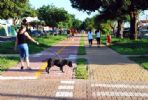clique para visualizar