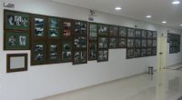 clique para visualizar